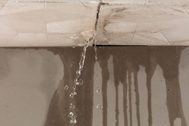 Professional Burst Pipe Cleanup technician working in Woodland Hills, CA